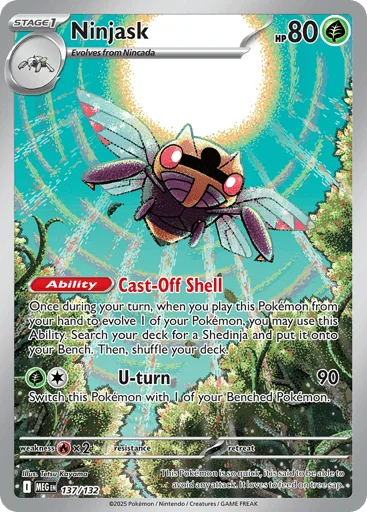 Ninjask
