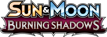 Burning Shadows