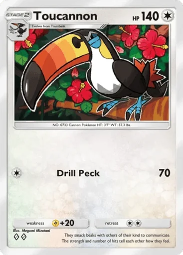 Toucannon