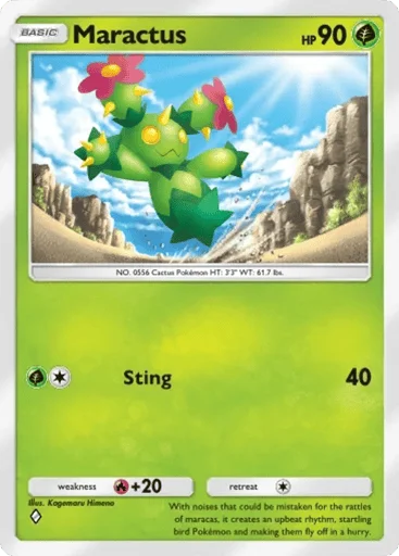 Maractus