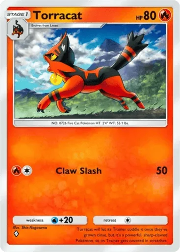 Torracat