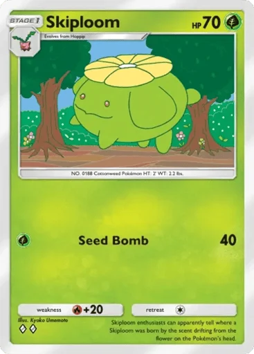 Skiploom
