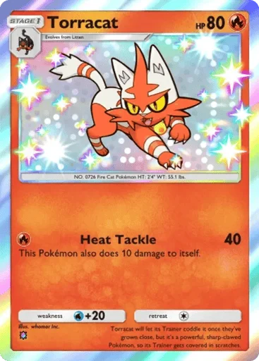 Torracat