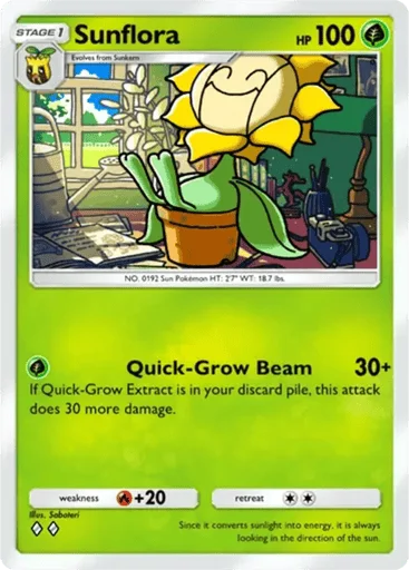 Sunflora
